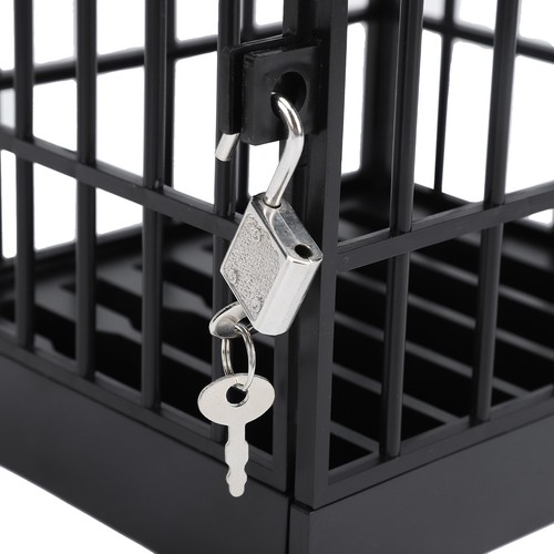 Cell phone jail lock - cell, box