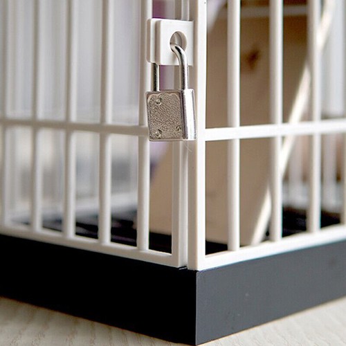 Cell phone jail with timer - phone,
